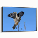 Framed canvas wall art featuring a vibrant birds of prey design, showcasing striking colors and detailed illustrations, perfect for enhancing contemporary decor.