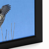 Close-up of a framed canvas wall art piece featuring an intricate design of birds in flight, showcasing vibrant colors and detailed textures, ideal for nature-themed decor.