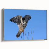 Framed wall art featuring a stunning collection of bird illustrations in a silver frame, showcasing intricate details and vibrant colors against a neutral backdrop. Perfect for adding elegance to any room decor.