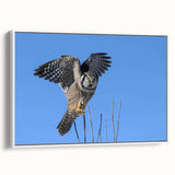Framed wall art featuring a striking birds of prey design, showcasing intricate details and vibrant colors on a white background, ideal for nature lovers' home decor.