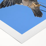 Colorful rolled canvas wall art depicting a vibrant design of birds, showcasing intricate details and textures, perfect for adding a unique touch to any decor.