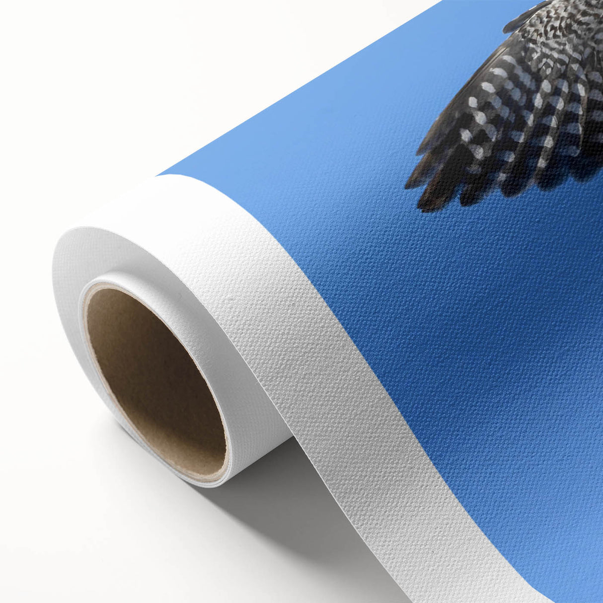 Colorful rolled canvas artwork showcasing a vibrant birds of prey design, featuring detailed illustrations of majestic raptors, perfect for home decor.