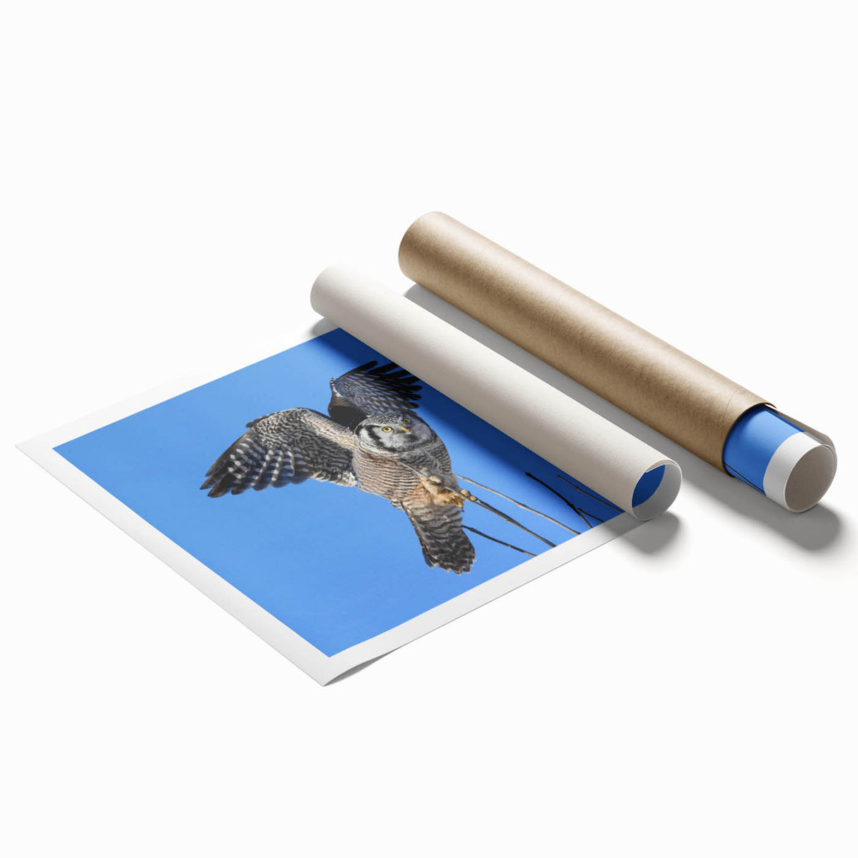 Colorful wall art print showcasing a vibrant birds of prey design, rolled and ready for display. Perfect for nature enthusiasts and home decor lovers.