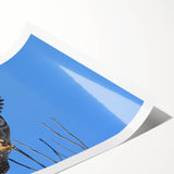 Rolled print of a vibrant birds of prey wall art collection showcasing detailed illustrations of various raptors in flight, ideal for nature enthusiasts and home decor.