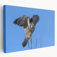 Stretched canvas artwork showcasing a vibrant bird design in a colorful palette, ideal for modern home decor, highlighting intricate details and textures.