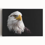 Colorful stretched canvas artwork showcasing a vibrant birds of prey design, ideal for home decor. Perfect for nature lovers and art enthusiasts.