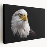 Stretched canvas wall art featuring a vibrant birds of prey design in rich colors, perfect for enhancing modern home decor with nature-inspired elegance.