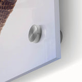 Close-up of a vibrant acrylic wall art piece showcasing a collection of colorful birds, designed for home decor, emphasizing intricate details and vivid hues. Perfect for bird enthusiasts and art lovers seeking unique decor.