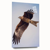 Acrylic wall art piece showcasing a vibrant collection of birds in flight, displayed from the side view, emphasizing the glass finish and intricate details of the design. Ideal for bird lovers and modern home decor enthusiasts.