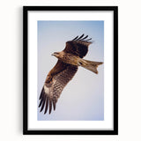 Framed wall art featuring a striking "Birds of Prey" design with a black frame and mat, ideal for enhancing modern decor in living or office spaces.