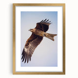 Elegant gold-framed wall art featuring a stunning birds of prey design, showcasing intricate details and vibrant colors, perfect for enhancing home decor aesthetics.