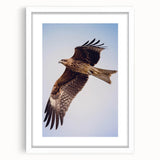 Framed wall art collection featuring a serene design of birds in flight, elegantly matted and showcased in a white frame, ideal for home decor.