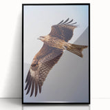 Framed acrylic wall art featuring a striking birds of prey design, showcasing intricate details and vibrant colors, perfect for enhancing any modern interior decor.
