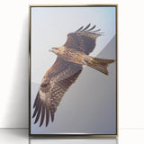 Framed acrylic wall art featuring a gold-toned birds of prey design, elegantly displayed for home decor. Ideal for nature lovers and art enthusiasts.