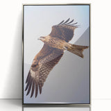 Framed wall art collection showcasing a vibrant birds of prey design, featuring intricate details and a sleek silver frame, perfect for modern home decor.