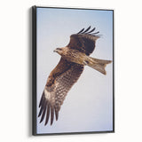 Framed canvas wall art featuring a vibrant birds of prey design in striking colors, presented in a sleek black frame. Ideal for nature enthusiasts' decor.