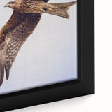 Close-up of a framed canvas featuring a vibrant bird-themed wall art design with intricate details, perfect for adding a touch of nature-inspired decor to modern interiors.