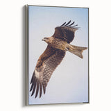 Framed wall art showcasing a striking design of birds in flight, featuring a silver frame and vibrant colors. Perfect for adding a modern touch to home decor.