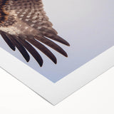 Vibrant rolled canvas artwork featuring a collection of colorful birds, showcasing intricate designs and textures, perfect for enhancing home decor aesthetics.