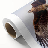 Rolled canvas showcasing a vibrant birds of prey wall art design, featuring intricate details and rich colors, elegantly packaged in a protective cardboard tube. This artwork enhances any space with its striking visual appeal and wildlife theme.