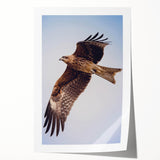 Colorful wall art print showcasing a vibrant design of various birds, emphasizing intricate details and textures, ideal for enhancing any living space or office decor.