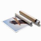 Rolled print showcasing a vibrant birds of prey design, featuring detailed illustrations of various majestic birds against a textured backdrop, ideal for home decor.