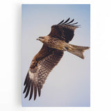 Colorful stretched canvas wall art featuring a vibrant design of various bird species, ideal for home decor, showcasing detailed illustrations and a dynamic composition.