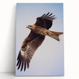 Stretched canvas art featuring a vibrant collection of birds, showcasing intricate designs and bold colors, perfect for enhancing any wall decor.