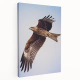 Stretched canvas wall art featuring a colorful bird design with intricate details, displayed in a side view, perfect for enhancing modern home decor.