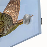 Close-up of a vibrant acrylic glass wall art piece showcasing a detailed design of various birds, perfect for modern home decor. The colorful artwork emphasizes intricate feather patterns and natural beauty, ideal for bird lovers and art enthusiasts alike.