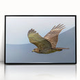 Framed acrylic wall art featuring a stunning 'Birds of Prey' design, showcasing intricate details in vibrant colors against a black background, perfect for nature lovers.