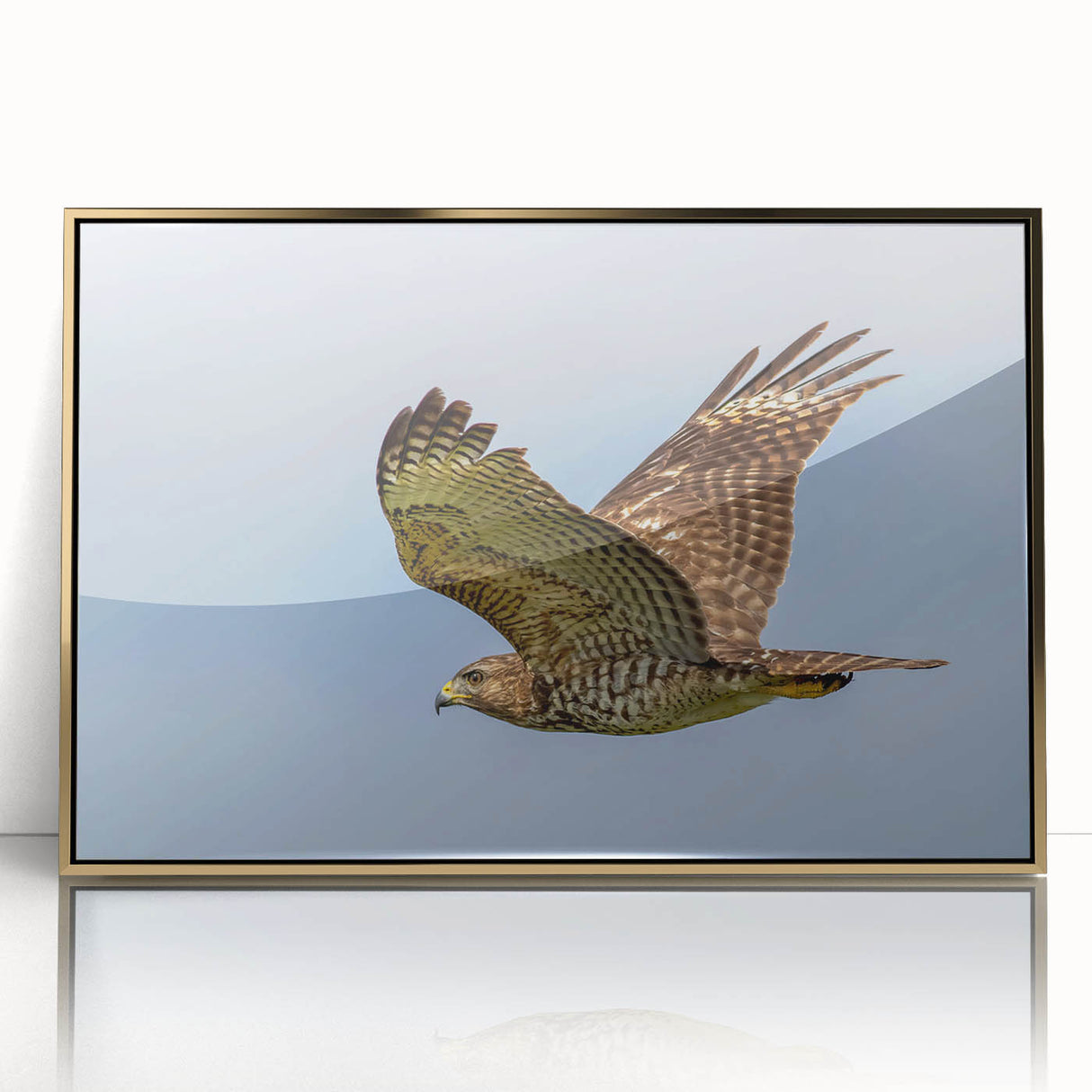 Framed acrylic wall art featuring a collection of stylized birds in gold, showcasing intricate designs and vibrant colors, perfect for home decor.