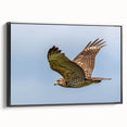 Framed wall art featuring a striking birds of prey design in vibrant colors, showcased in a sleek black frame, perfect for modern home decor.