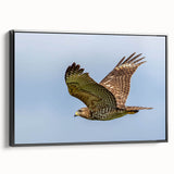 Framed wall art featuring a striking birds of prey design in vibrant colors, showcased in a sleek black frame, perfect for modern home decor.