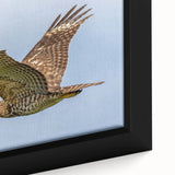 Framed canvas wall art showcasing a vibrant bird design with intricate details, featuring colorful plumage and a textured finish, perfect for home decor.