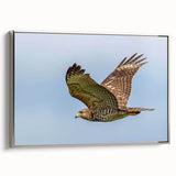 Framed canvas wall art from the Birds of Pray collection, showcasing a detailed design of vibrant birds in silver tones, perfect for modern home decor.
