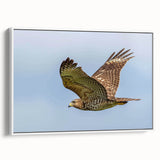 Framed canvas wall art featuring a vibrant bird design from the "Birds of Pray" collection, displayed at a slight angle against a white background, highlighting its intricate details and vivid colors. Ideal for home decor enthusiasts seeking unique and artistic pieces.