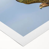 Colorful rolled canvas wall art featuring a vibrant design of birds in flight, perfect for enhancing modern home decor. Ideal for nature lovers and art enthusiasts.