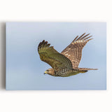 Stretched canvas wall art featuring a vibrant design of various birds, showcasing intricate details and bold colors, perfect for home decor enthusiasts.