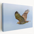 Stretched canvas wall art showcasing a vibrant birds of prey design, featuring intricate details and rich colors, perfect for nature enthusiasts and home decor.