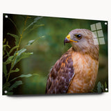 Acrylic glass wall art showcasing a vibrant bird design from the "Birds of Pray" collection, elegantly displayed with pins, adding a modern touch to any decor.