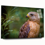 Acrylic glass wall art from the Birds of Pray collection, showcasing vibrant bird designs in a side view, ideal for modern decor. Perfect for nature enthusiasts.