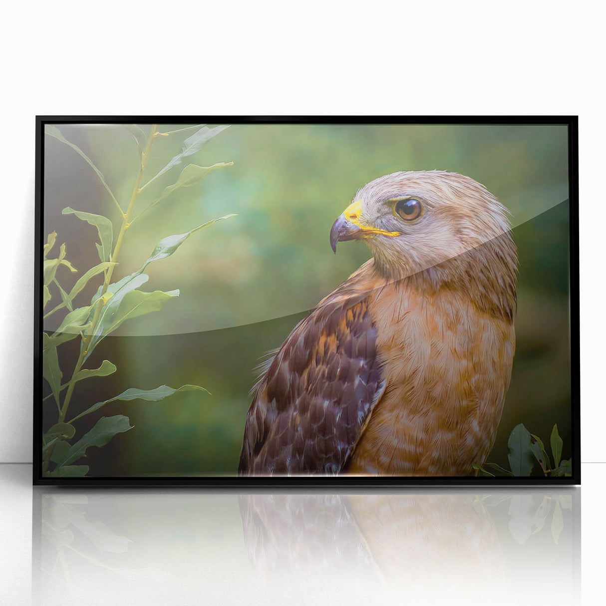 Framed acrylic wall art featuring a striking design of birds, set against a black background. This stylish decor piece is perfect for modern interiors, adding a unique touch to any room.