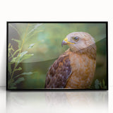 Framed acrylic wall art featuring a striking design of birds, set against a black background. This stylish decor piece is perfect for modern interiors, adding a unique touch to any room.