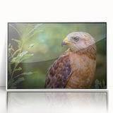 Framed acrylic wall art featuring a stunning bird design in vibrant colors, displayed against a white background, ideal for home decor and nature enthusiasts.