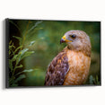 Framed canvas wall art featuring a sleek black side view of a birds of prey design, showcasing vibrant colors and intricate details, ideal for nature enthusiasts.