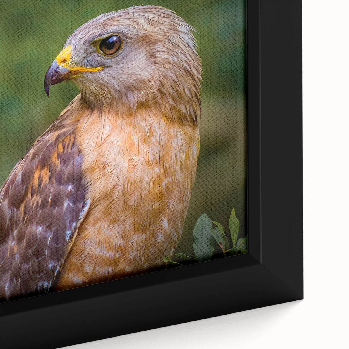 Close-up of a framed canvas wall art piece featuring an intricate design of birds in vibrant colors, showcasing detailed textures and artistic elements, perfect for home decor.