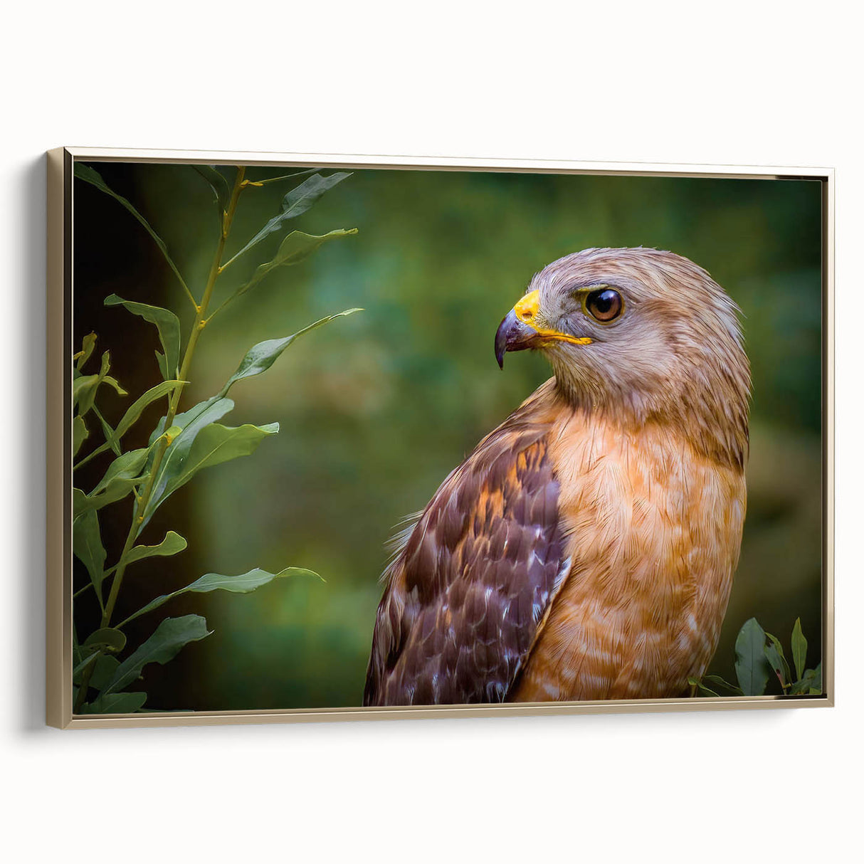Framed canvas artwork showcasing a stunning collection of bird illustrations in vibrant colors against a gold background, perfect for elevating home decor.