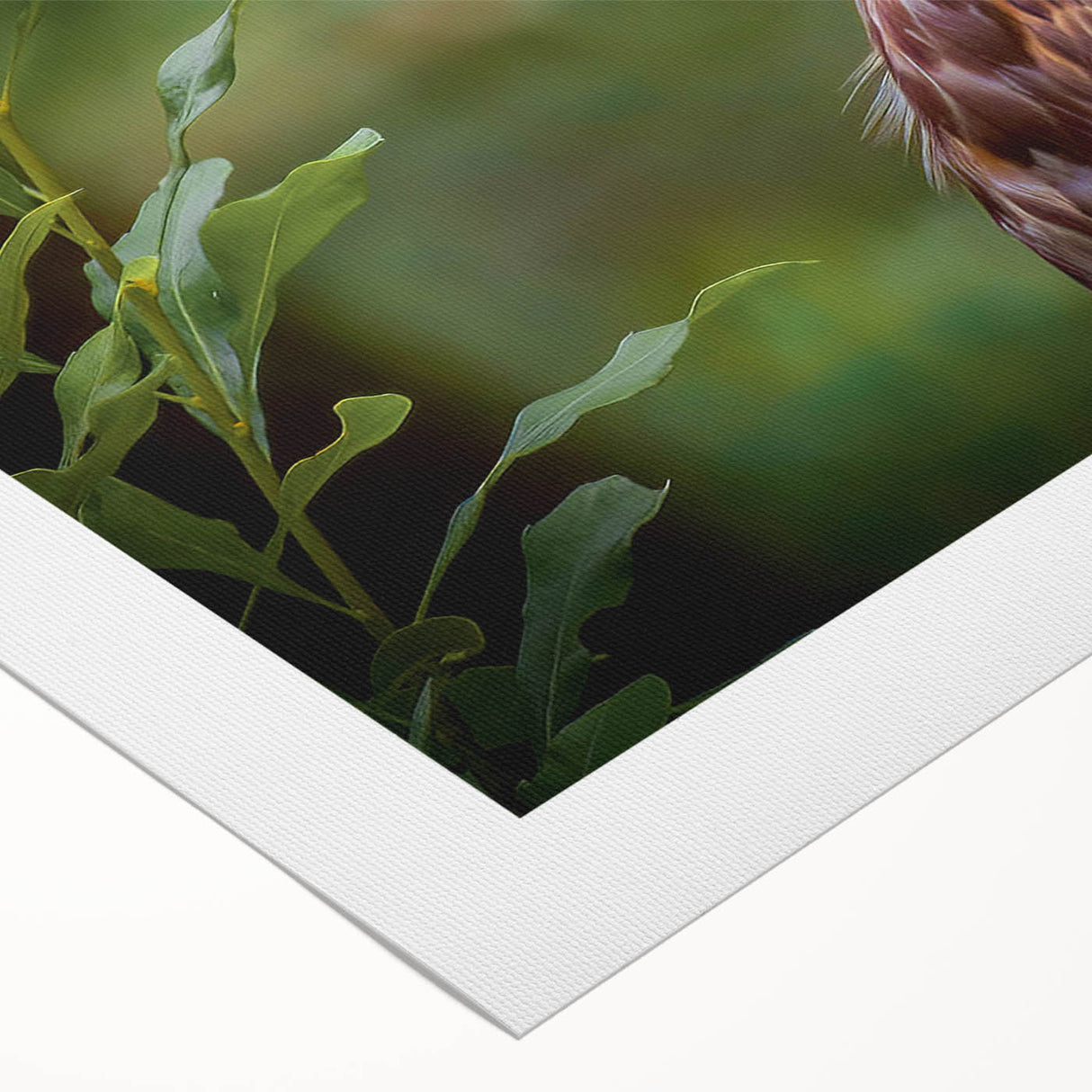 Vibrant rolled canvas art showcasing a striking birds of prey design, featuring detailed illustrations in rich colors, perfect for home decor or nature enthusiasts.