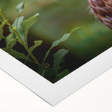 Vibrant rolled canvas art showcasing a striking birds of prey design, featuring detailed illustrations in rich colors, perfect for home decor or nature enthusiasts.